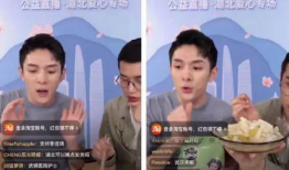 湖北性爱直播网,网络直播乱象背后的隐秘世界